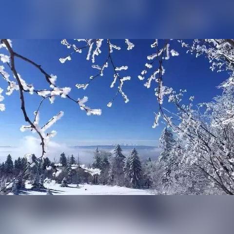 北京最新下雪通知，冬日雪景如画,科技成语分析落实_专业版42.60.56，北京冬日雪景如画，最新下雪通知与科技成语分析的融合