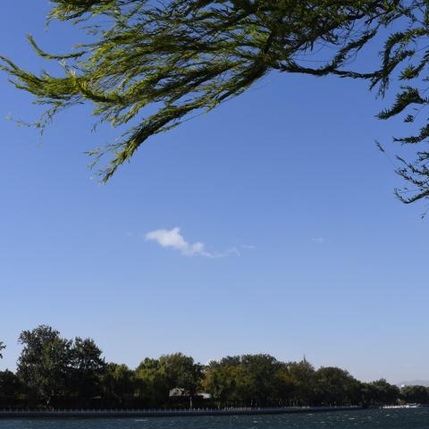 明天最新北京天气预报——准备你的出行与日常活动,最新热门解答落实_ios29.85.83，北京明天天气预报——出行与活动必备指南