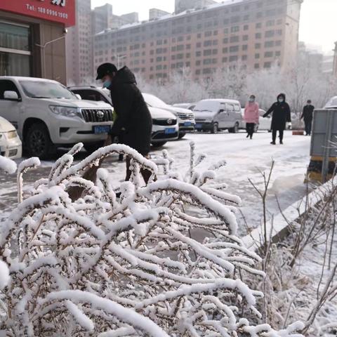 北京朝阳最新天气预报及生活出行指南,国产化作答解释落实_标准版95.54.78，朝阳区最新天气预报及生活出行指南，标准版95.54.78的国产化解读与执行